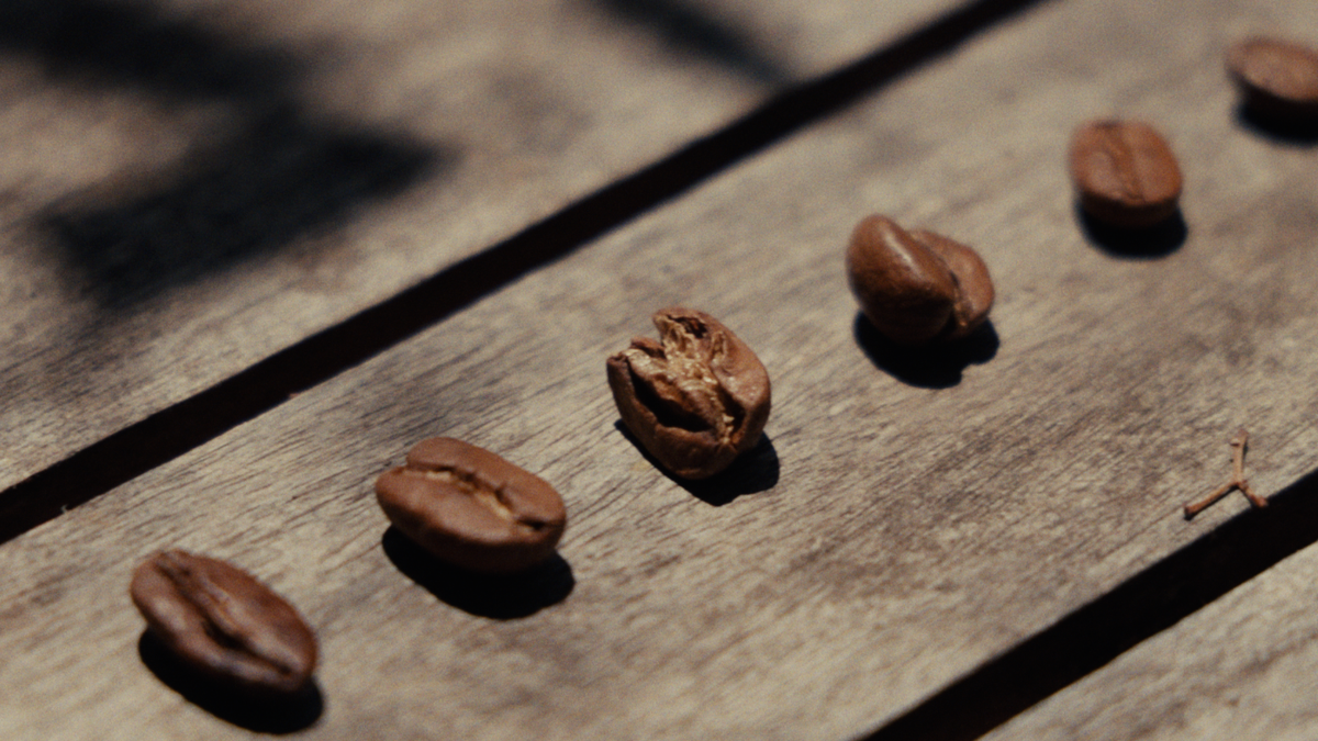 Café Filtro