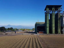 Cargar imagen en el visor de la galería, EL Salvador Lyquidambar