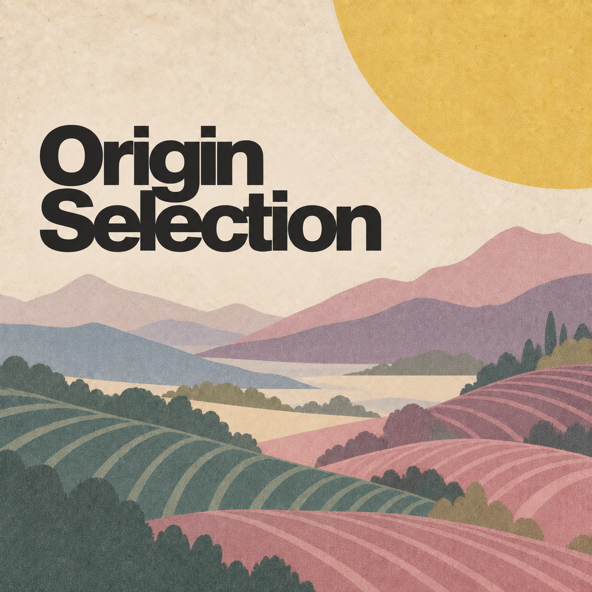 Suscripción Origin Selection