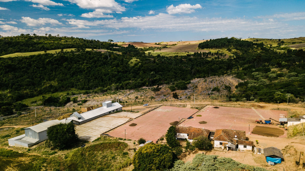 MEKE SPECIALTY Brasil Fazenda Matao