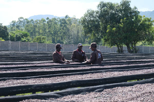 MEKE SPECIALTY Kenia - Matunda