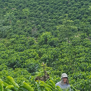 MEKE SPECIALTY Costa Rica Aquiares Estate