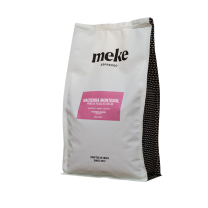 Nicaragua Hacienda Montesol