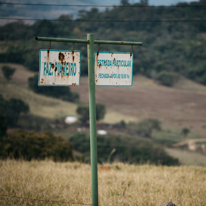 Brasil Fazenda Pinheiro