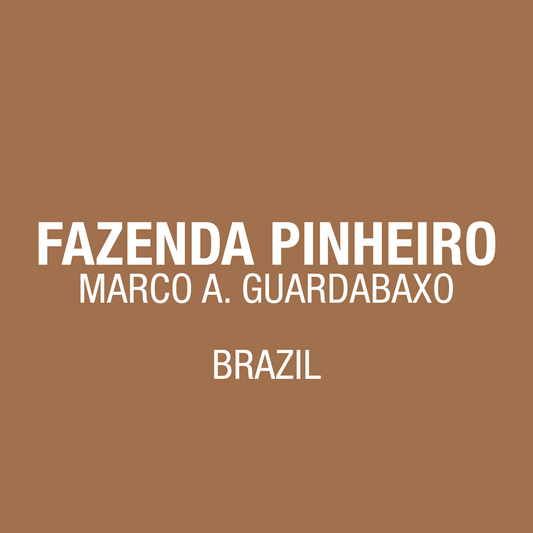Brasil Fazenda Pinheiro