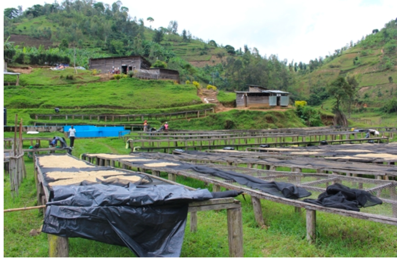 Ruanda Inzovu