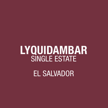 Cargar imagen en el visor de la galería, EL Salvador Lyquidambar
