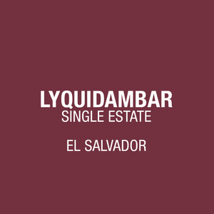 EL Salvador Lyquidambar
