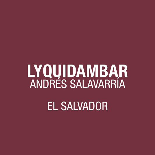 EL Salvador Lyquidambar