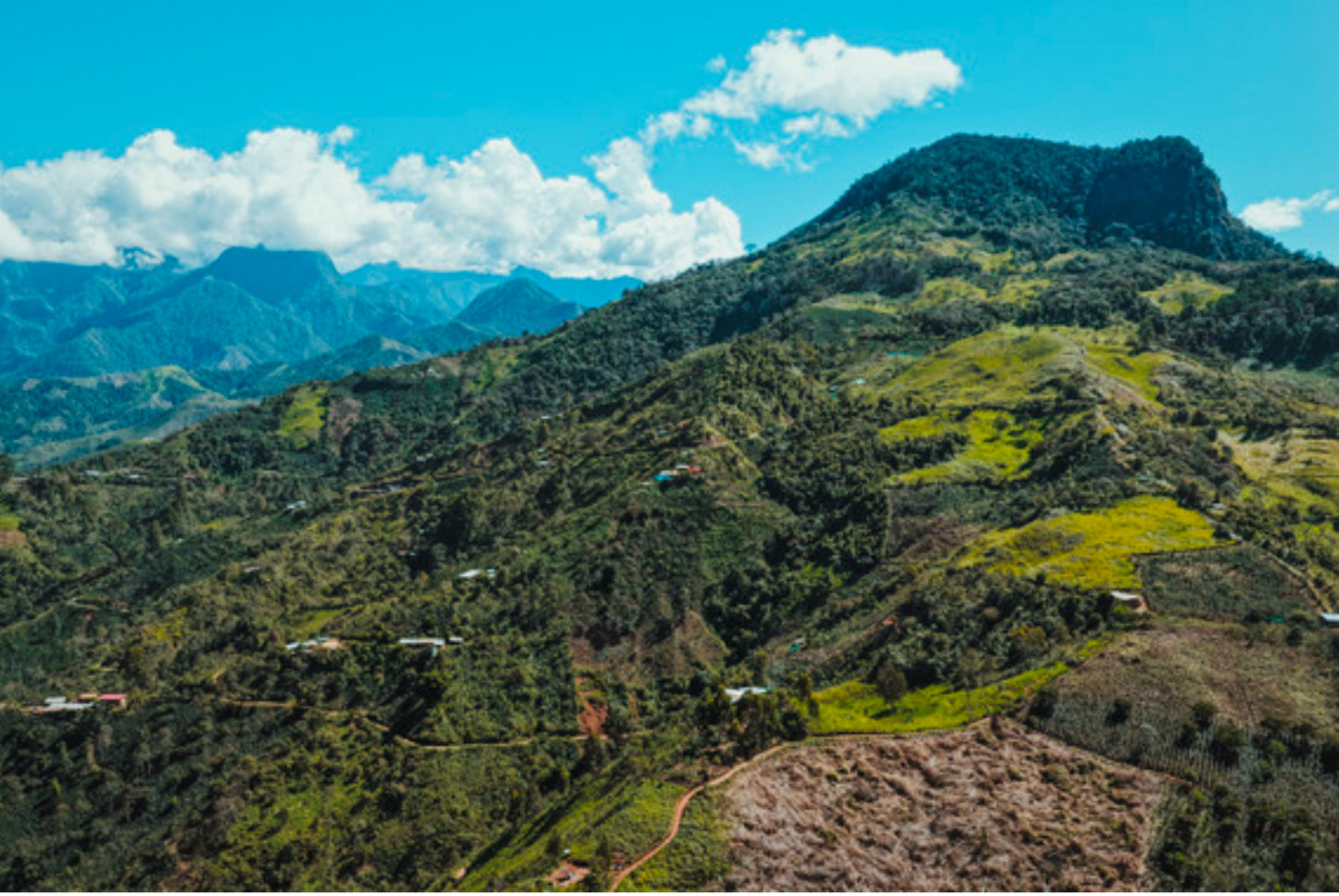 Perú San Martín Descafeinado Orgánico