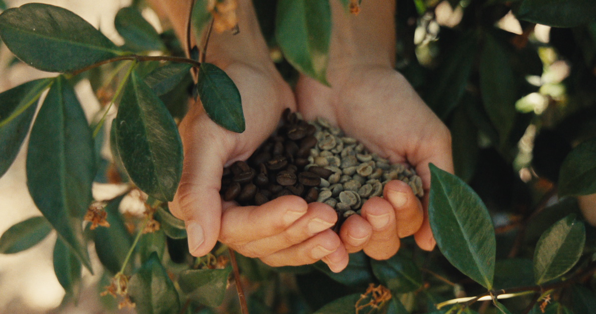 Meke Coffee Roasters