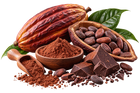 Cacao