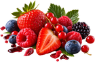 Frutos Rojos