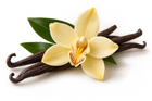Vainilla
